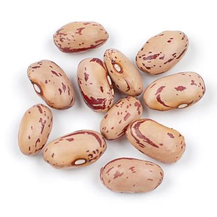 Cranberry Beans
