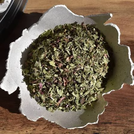 Echinacea Leaf