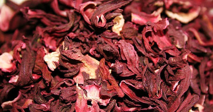 Hibiscus Flower