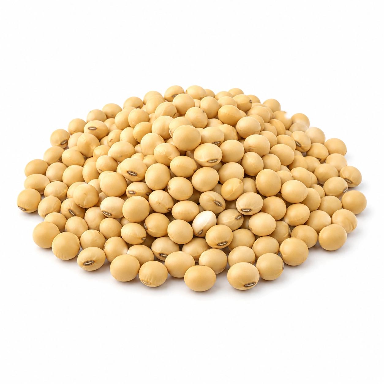 Soybeans