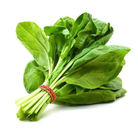 Spinach Leaf