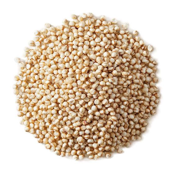 White Sorghum